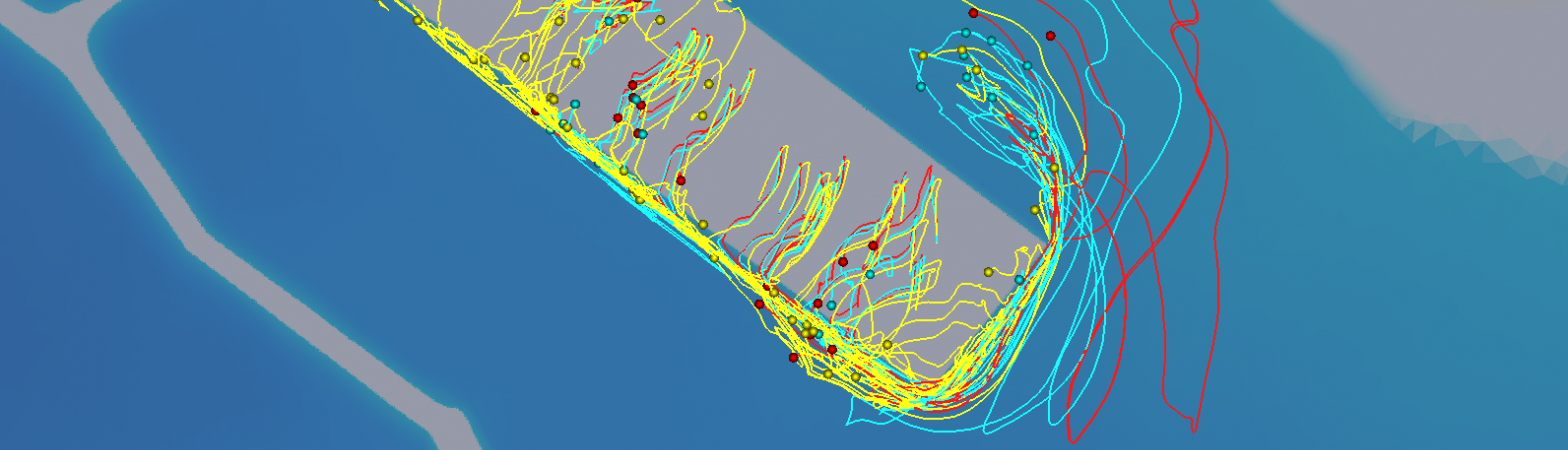 Tsunami modelling in estuaries